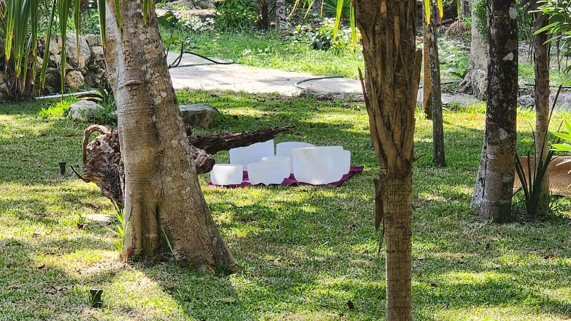 Casa Kokoba Akumal Ecohotel