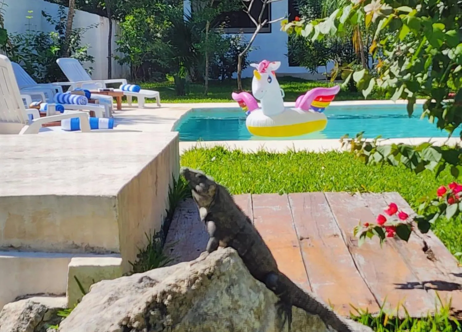 Casa Kokoba Akumal Ecohotel Mexico